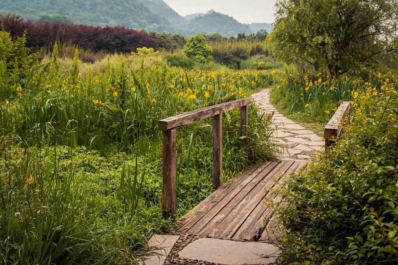 Garden Landscape